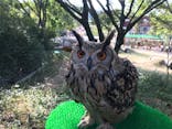 しろとり動物園に投稿された画像（2024/11/4）