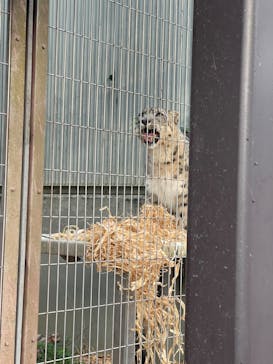 名古屋市東山動植物園に投稿された画像（2024/11/4）