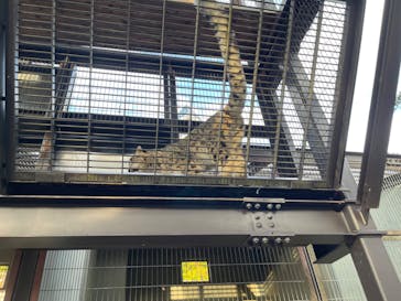 名古屋市東山動植物園に投稿された画像（2024/11/4）