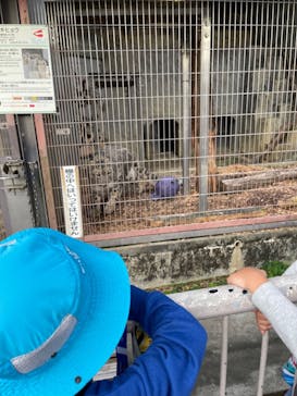 名古屋市東山動植物園に投稿された画像（2024/11/4）