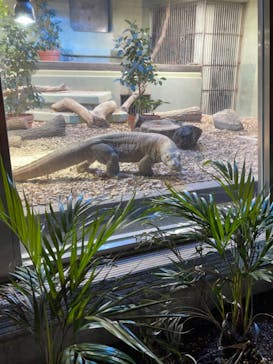 名古屋市東山動植物園に投稿された画像（2024/11/4）