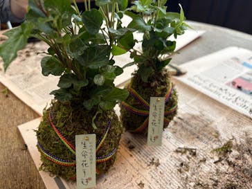 株式会社花工房に投稿された画像（2024/11/4）