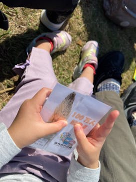 あらかわ遊園に投稿された画像（2024/11/4）