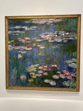 モネ 睡蓮のとき（国立西洋美術館）に投稿された画像（2024/11/4）