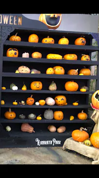 ひらかたパークに投稿された画像（2024/11/4）