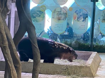 NIFREL（ニフレル）に投稿された画像（2024/11/4）