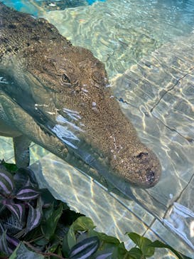 NIFREL（ニフレル）に投稿された画像（2024/11/4）