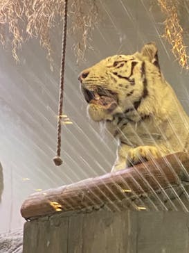 NIFREL（ニフレル）に投稿された画像（2024/11/4）