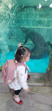 NIFREL（ニフレル）に投稿された画像（2024/11/4）