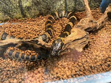 おきなわワールドに投稿された画像（2024/11/4）