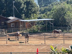 風来里（ふらり）馬小屋に投稿された画像（2024/11/4）