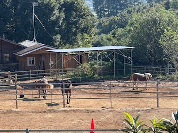 風来里（ふらり）馬小屋に投稿された画像（2024/11/4）