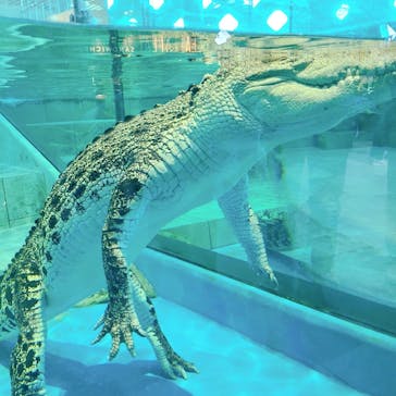 NIFREL（ニフレル）に投稿された画像（2024/11/4）