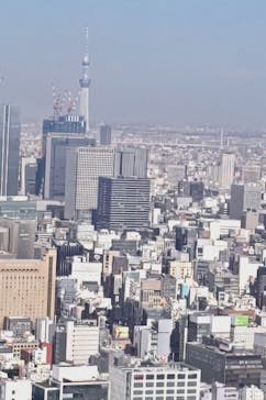 東京タワーに投稿された画像（2024/11/4）