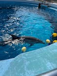 マリンワールド海の中道に投稿された画像（2024/11/4）
