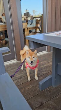 わんダフルネイチャーヴィレッジに投稿された画像（2024/11/4）