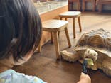 Moff animal cafe 小田原ダイナシティ店に投稿された画像（2024/11/4）