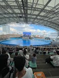 名古屋港水族館に投稿された画像（2024/11/4）