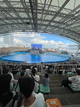 名古屋港水族館に投稿された画像（2024/11/4）