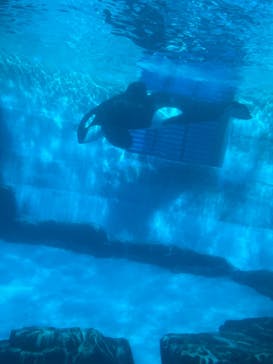 名古屋港水族館に投稿された画像（2024/11/4）