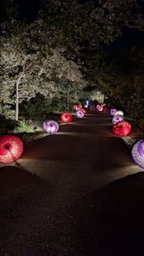 国営昭和記念公園 秋の夜散歩に投稿された画像（2024/11/4）