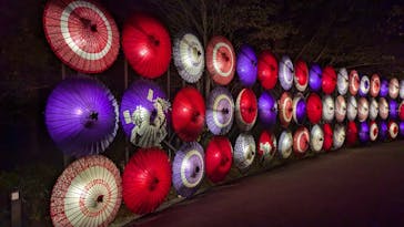 国営昭和記念公園 秋の夜散歩に投稿された画像（2024/11/4）