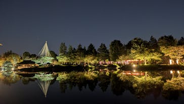 国営昭和記念公園 秋の夜散歩に投稿された画像（2024/11/4）