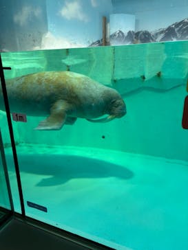 南知多ビーチランド＆南知多おもちゃ王国に投稿された画像（2024/11/4）