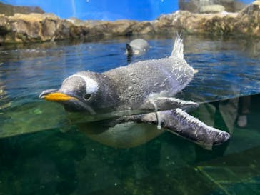 南知多ビーチランド＆南知多おもちゃ王国に投稿された画像（2024/11/4）