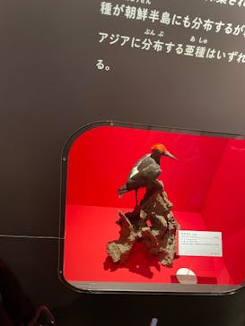 国立科学博物館に投稿された画像（2024/11/4）