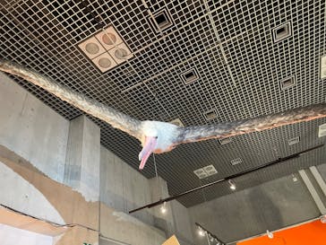 国立科学博物館に投稿された画像（2024/11/4）