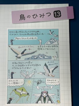 国立科学博物館に投稿された画像（2024/11/4）