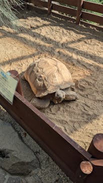 淡路ファームパーク イングランドの丘に投稿された画像（2024/11/4）