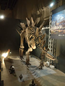 福井県立恐竜博物館に投稿された画像（2024/11/4）