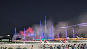 東京メガイルミに投稿された画像（2024/11/4）