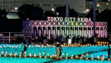 東京メガイルミに投稿された画像（2024/11/4）