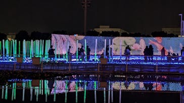 東京メガイルミに投稿された画像（2024/11/4）