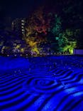 博多ライトアップウォーク実行委員会に投稿された画像（2024/11/4）