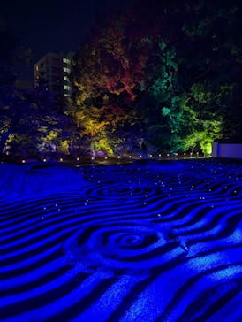 博多ライトアップウォーク実行委員会に投稿された画像（2024/11/4）