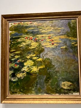モネ 睡蓮のとき（国立西洋美術館）に投稿された画像（2024/11/4）