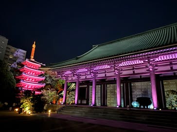 博多ライトアップウォーク実行委員会に投稿された画像（2024/11/4）