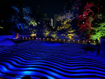 博多ライトアップウォーク実行委員会に投稿された画像（2024/11/4）