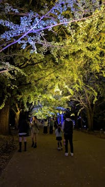 国営昭和記念公園 秋の夜散歩に投稿された画像（2024/11/4）