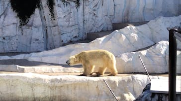恩賜上野動物園に投稿された画像（2024/11/4）