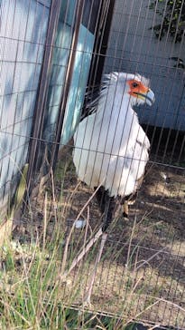 恩賜上野動物園に投稿された画像（2024/11/4）