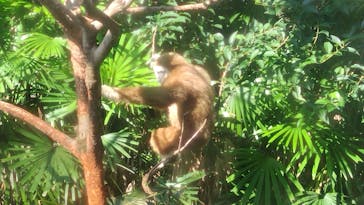 恩賜上野動物園に投稿された画像（2024/11/4）