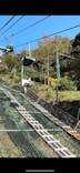 天橋立ケーブルカーに投稿された画像（2024/11/4）