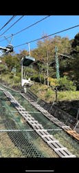 天橋立ケーブルカーに投稿された画像（2024/11/4）