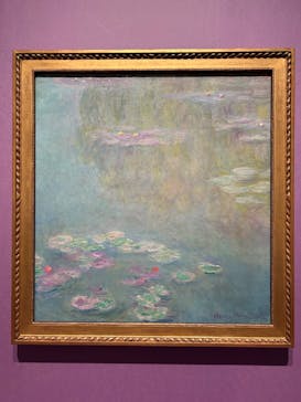 あべのハルカス美術館に投稿された画像（2024/11/4）