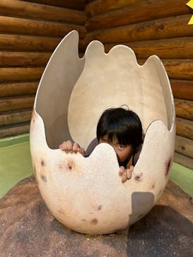 天王寺動物園に投稿された画像（2024/11/4）